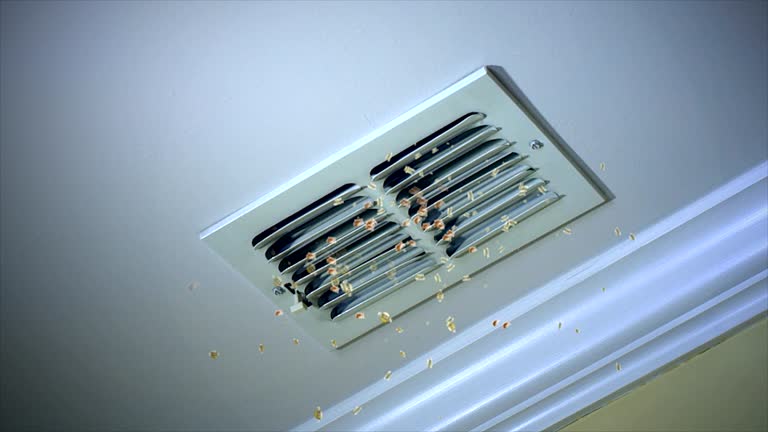 Best HVAC Duct Inspection Services  in Laware City, DE