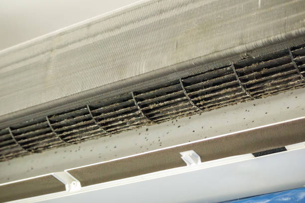 Best HVAC Duct Inspection Services  in Laware City, DE